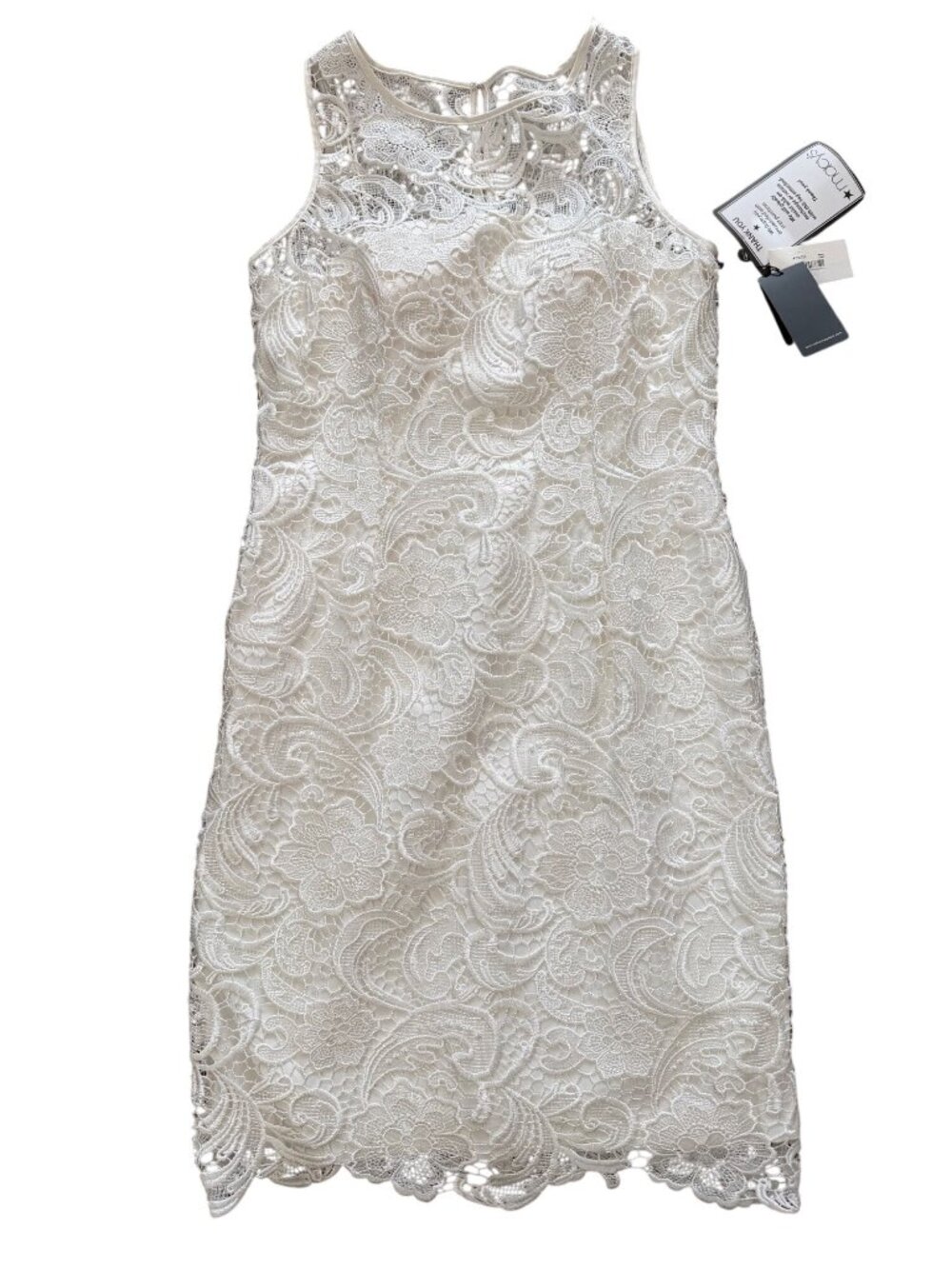 Adrianna Papell Ivory Lace Sleeveless Sheath Dress Illusion Neckline Size 10 NWT - Picture 3 of 16